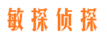 龙沙侦探公司